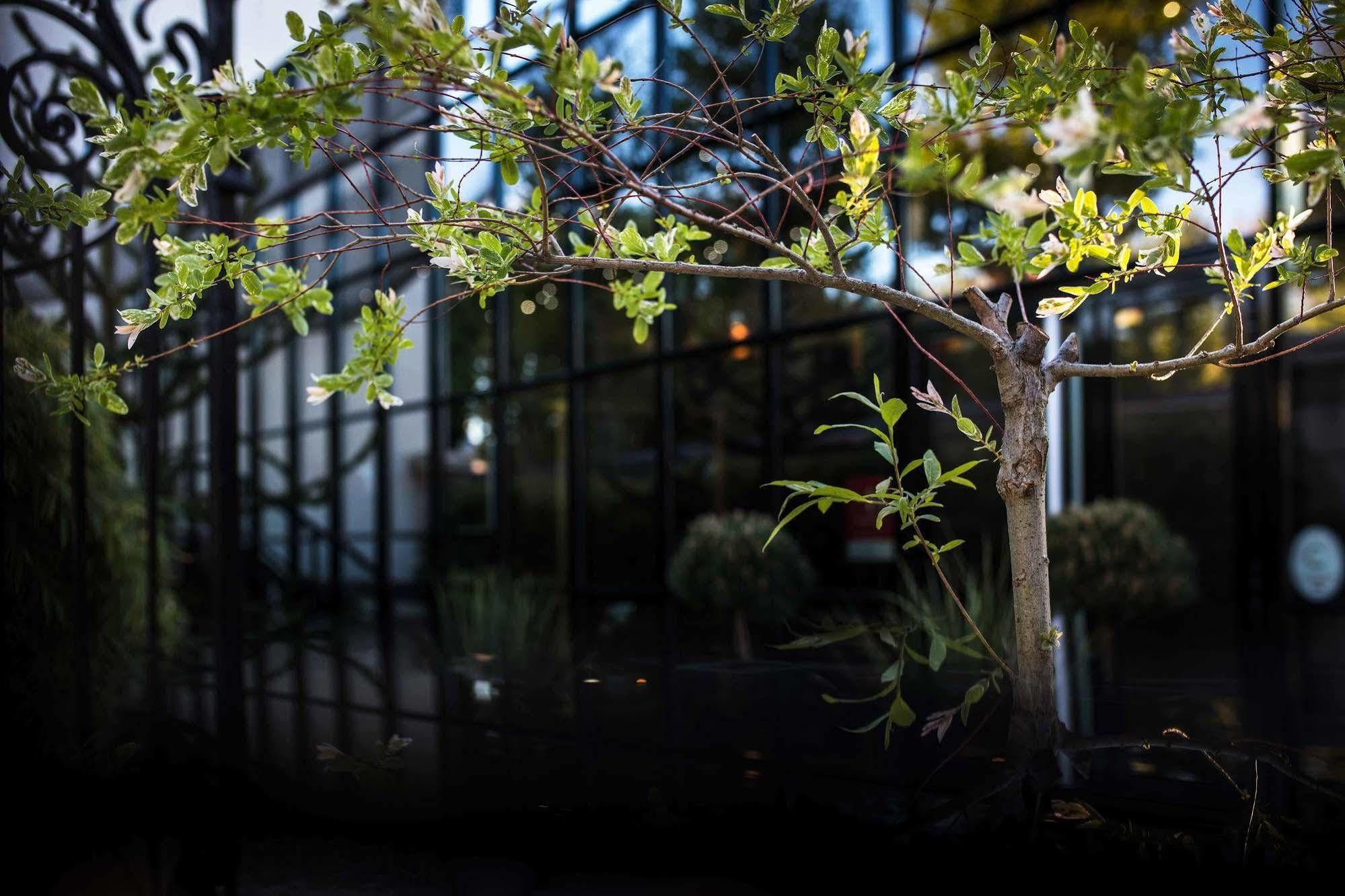 Maison Decoret - Relais & Chateaux Vichy Exterior foto